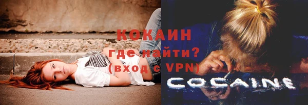 apvp Алексин