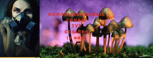шишки Алексеевка