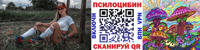 где можно купить наркотик Самара МЕГА зеркало Галлюциногенные грибы Psilocybine cubensis