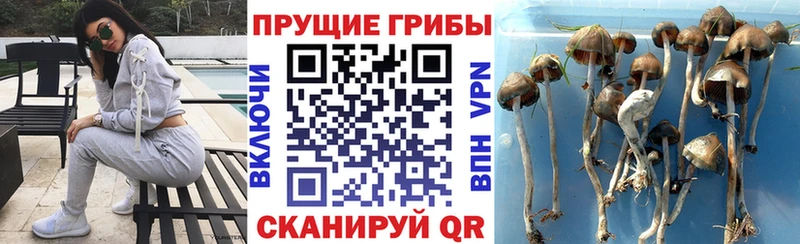 Галлюциногенные грибы мицелий Самара